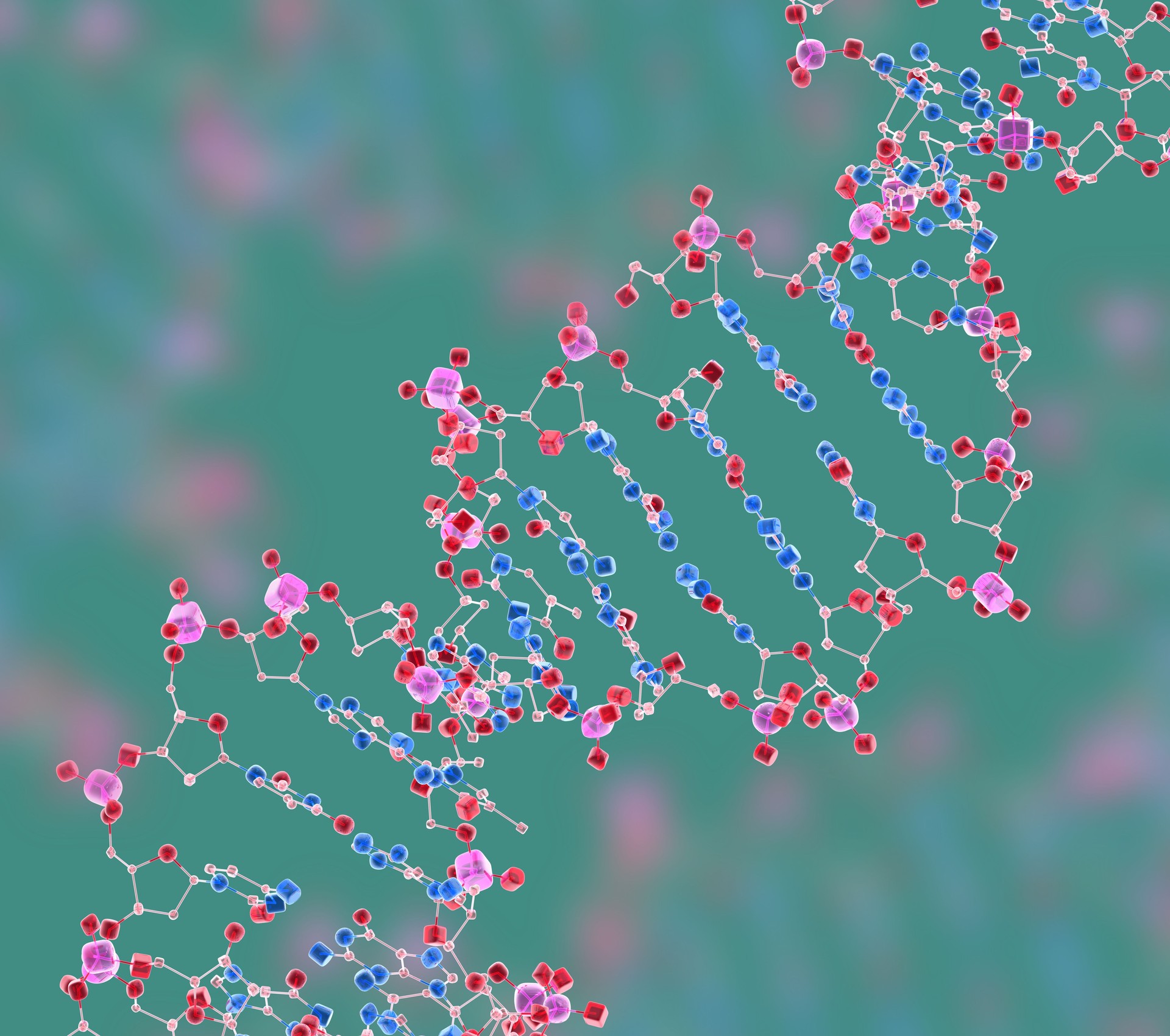 DrugModel:  DNA